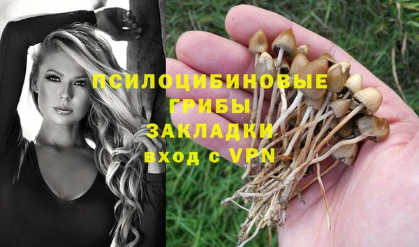 a pvp Нея