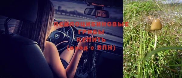 эйфоретик Абаза
